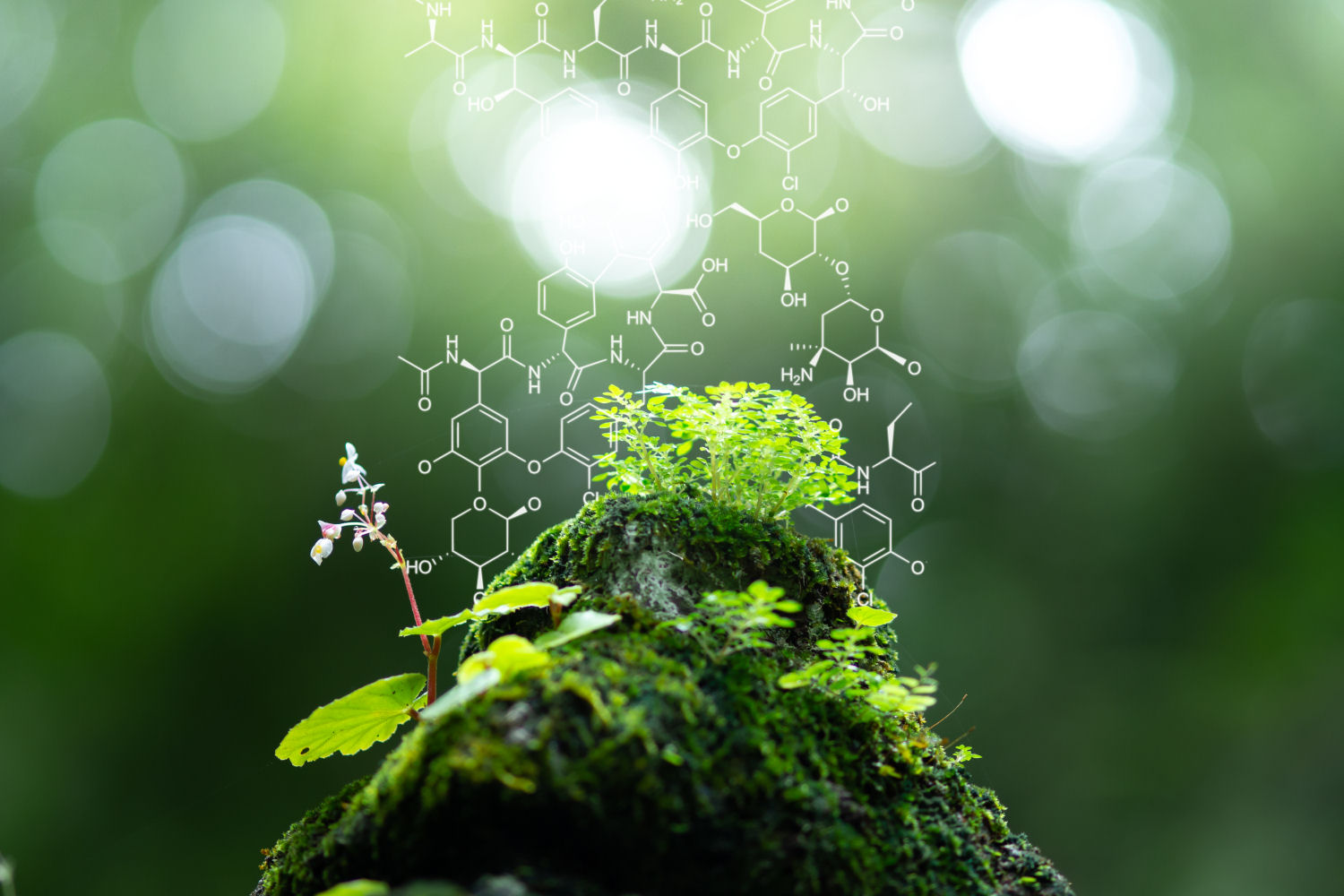 Image for Bio Solutions